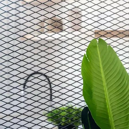 Magma Milos Iii 아다마스